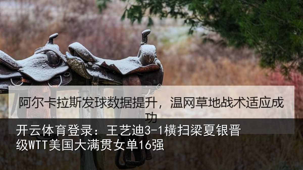开云体育登录：王艺相关情况WTT美国大满贯女单16强